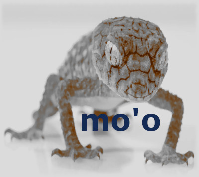 Warum Moo
